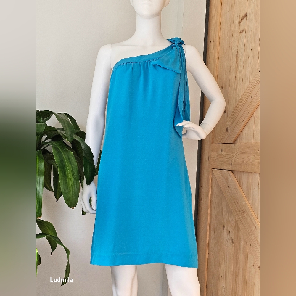 BANANA REPUBLIC Trina Turk Collection 2012 Size 4 100% Silk Light Blue‎ Dress - Picture 8 of 10